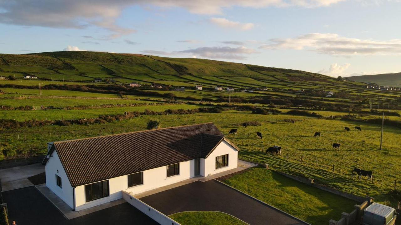 Dingle Way Snug, Luxury Apartment Exterior foto